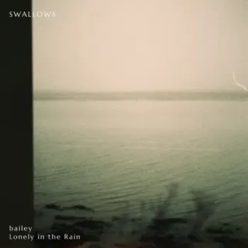Bailey & Lonely in the Rain - Swallows