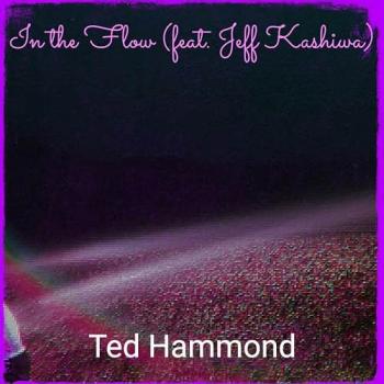 Ted Hammond - In The Flow feat Jeff Kashiwa cover