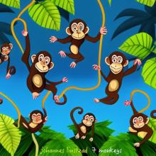 Johannes Linstead - 7 Monkeys